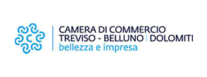 camera-di-caommercio-treviso-belluno camera-di-caommercio-treviso-belluno