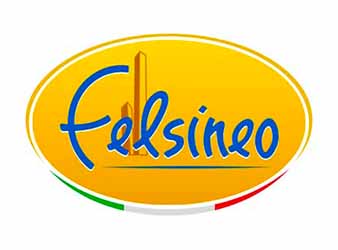 Felsineo logo